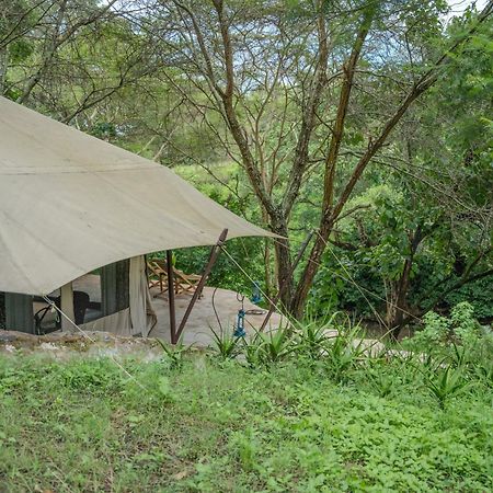 Dolly Farm & River Camp, Luxury Tents Usa River Екстер'єр фото